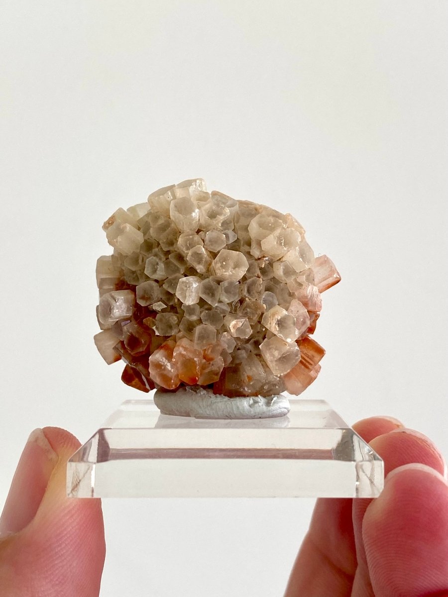 1.47" Aragonite mineral cluster from Morocco - FossilsAndMore