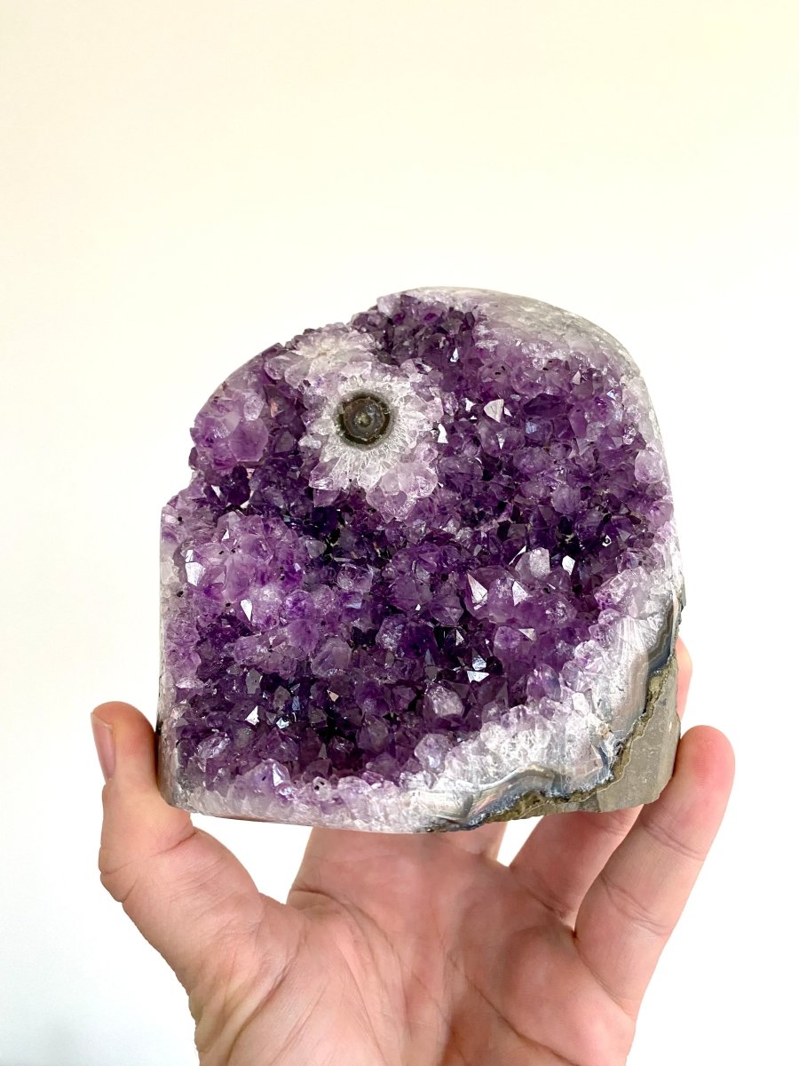 1487 grams Cut - base Amethyst cluster from Uruguay, mineral cluster - FossilsAndMore