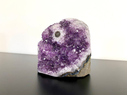 1487 grams Cut - base Amethyst cluster from Uruguay, mineral cluster - FossilsAndMore