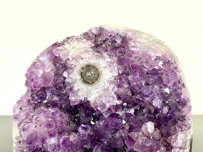 1487 grams Cut - base Amethyst cluster from Uruguay, mineral cluster - FossilsAndMore