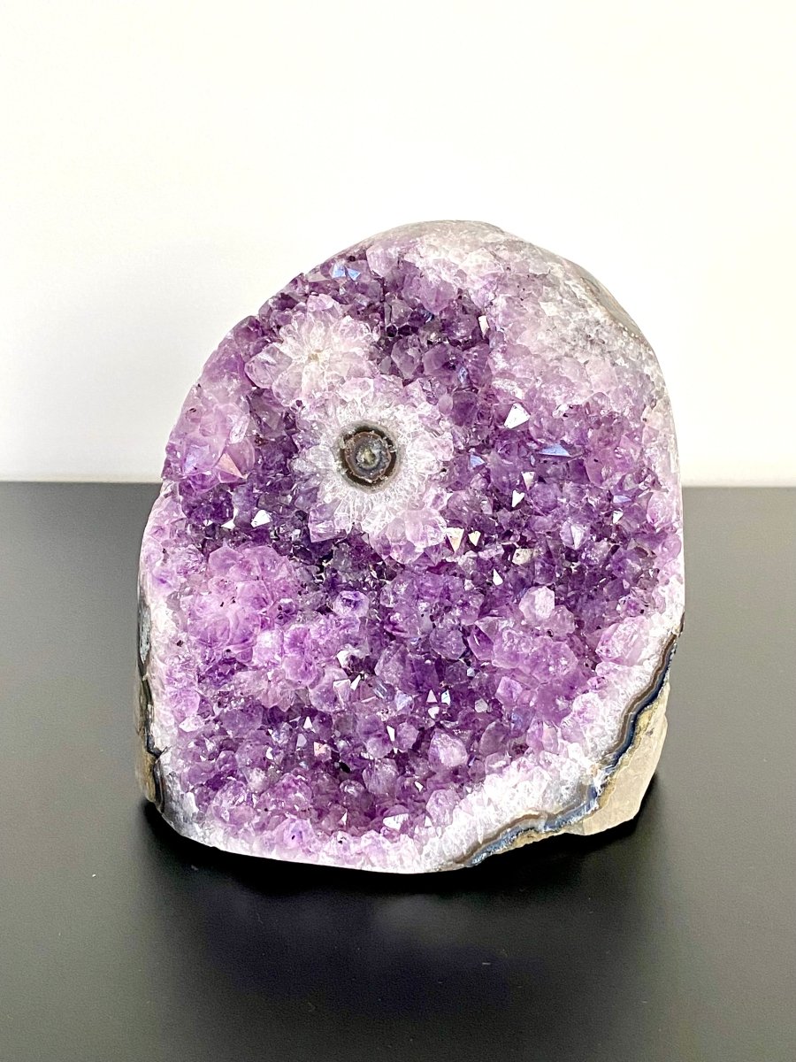 1487 grams Cut - base Amethyst cluster from Uruguay, mineral cluster - FossilsAndMore