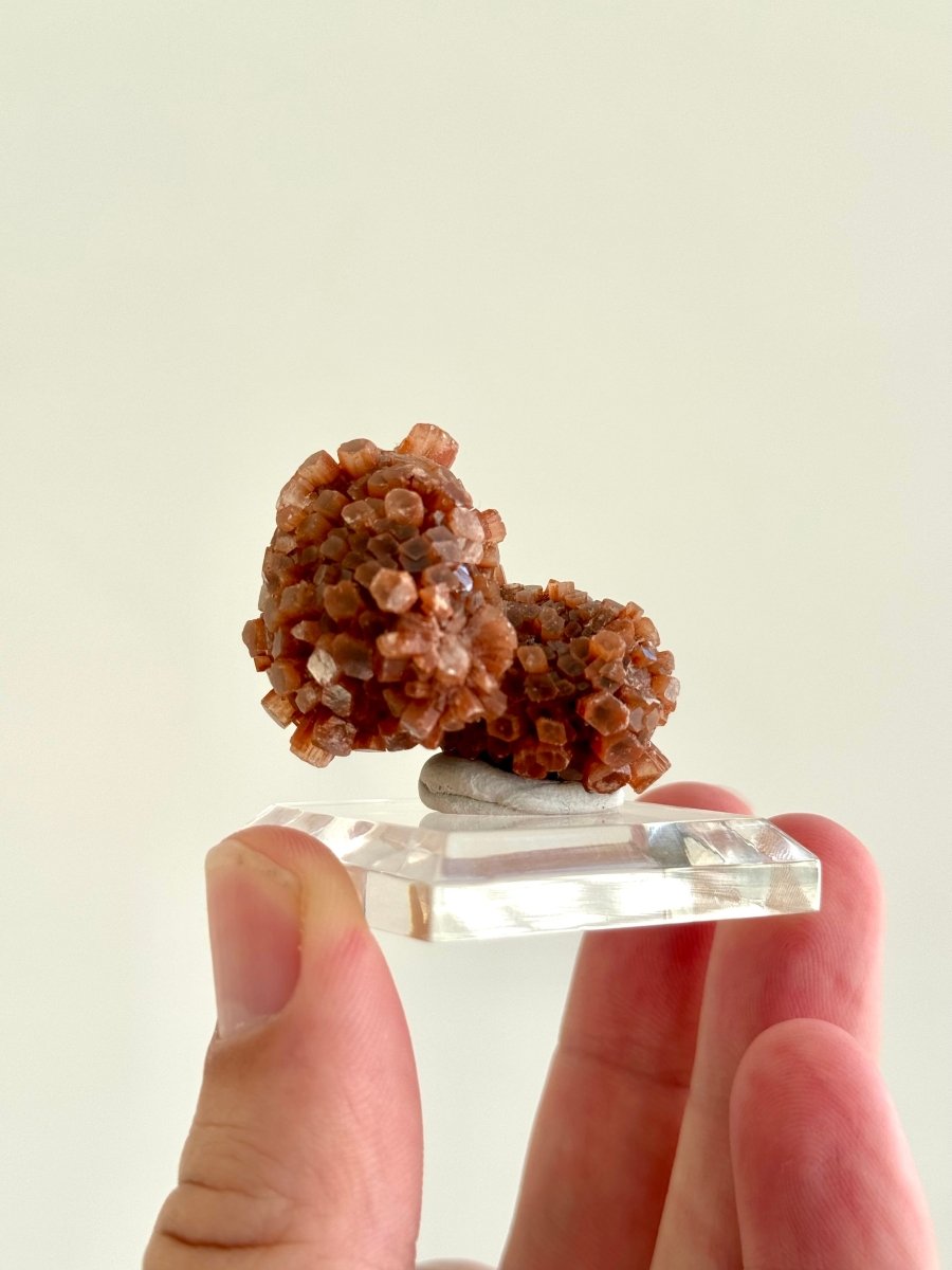 1.59" Aragonite mineral cluster from Morocco - FossilsAndMore