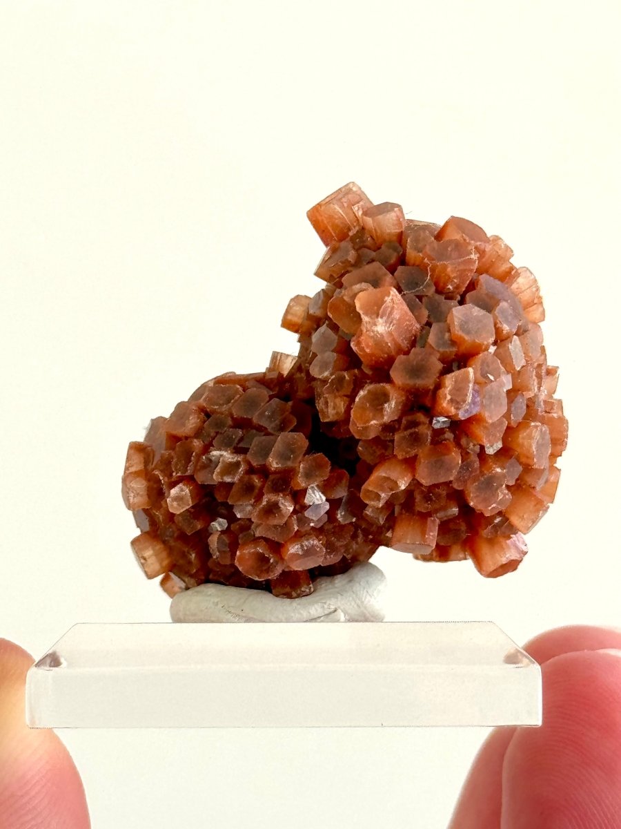 1.59" Aragonite mineral cluster from Morocco - FossilsAndMore