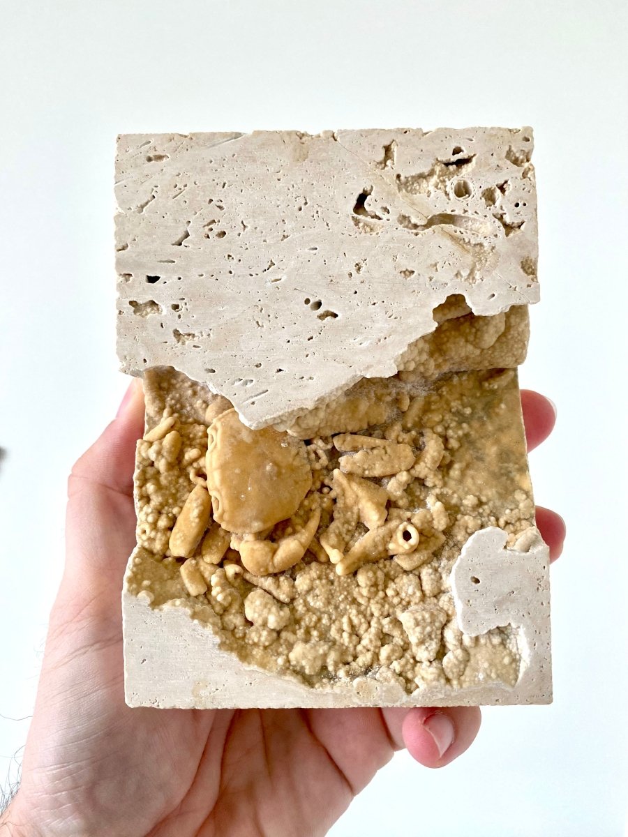 1.60" Potamon crab fossil species in travertine - FossilsAndMore