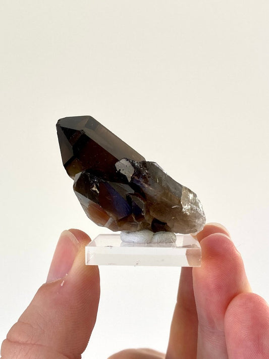 1.95" Smoky Quartz crystal from Brazil - FossilsAndMore