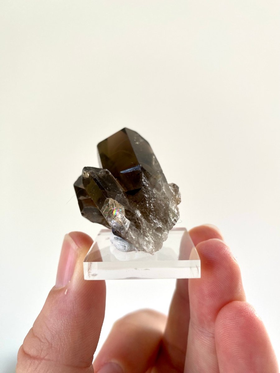 1.95" Smoky Quartz crystal from Brazil - FossilsAndMore