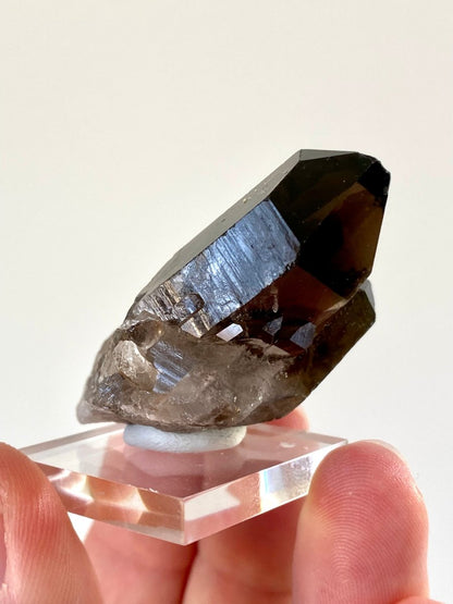 1.95" Smoky Quartz crystal from Brazil - FossilsAndMore