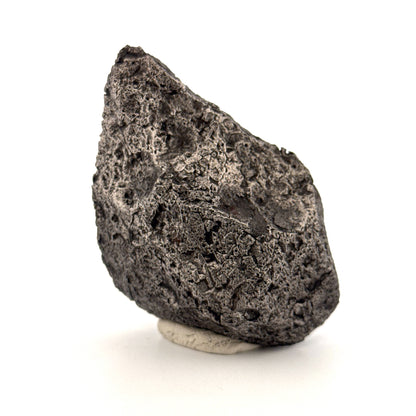 Groot Campo del Cielo Meteoriet fragment uit Argentinië (287 gram)