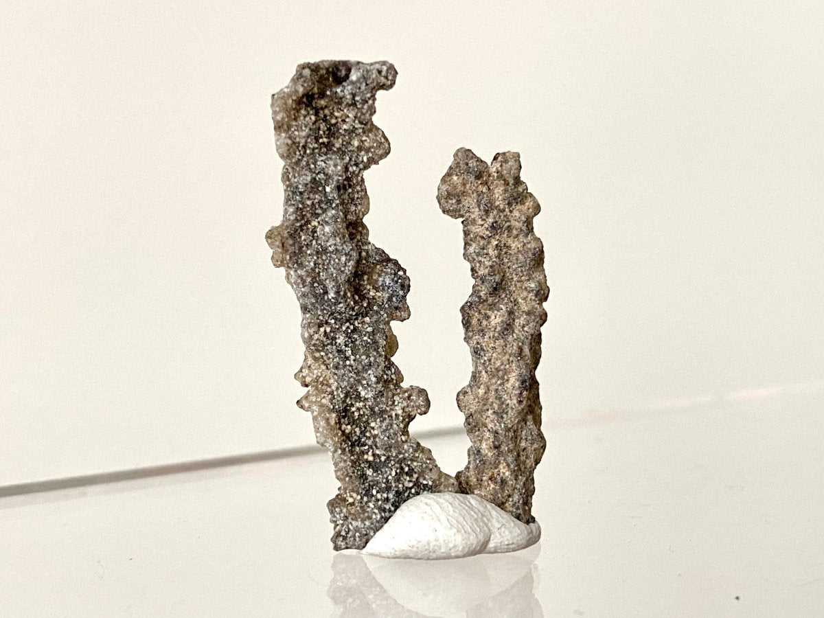 2 pieces of Fulgurite, Nature’s Lightning - Formed Gemstone! - FossilsAndMore