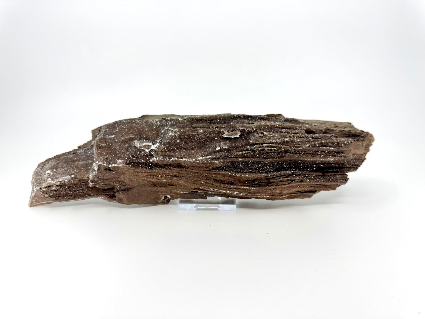 Large Permineralized Wood Covered In Druzy Quartz from Germany (759 Grams)