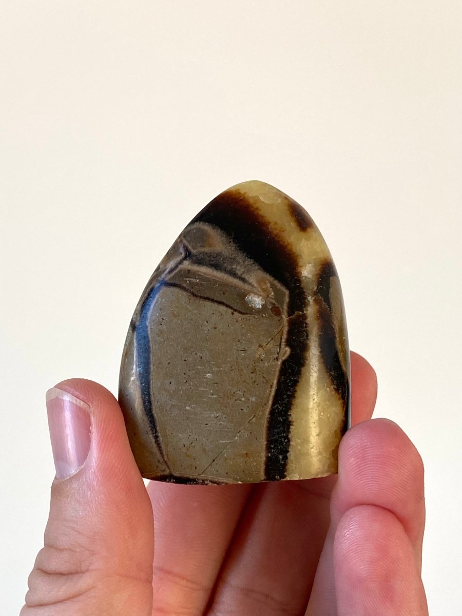 2.12" Septarian sculpture from Madagascar - FossilsAndMore