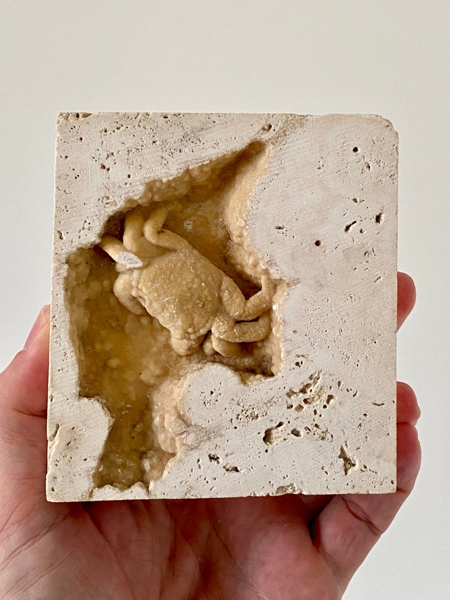 2.16" Potamon crab fossil species in travertine - FossilsAndMore