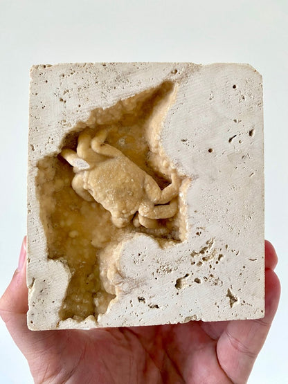 2.16" Potamon crab fossil species in travertine - FossilsAndMore