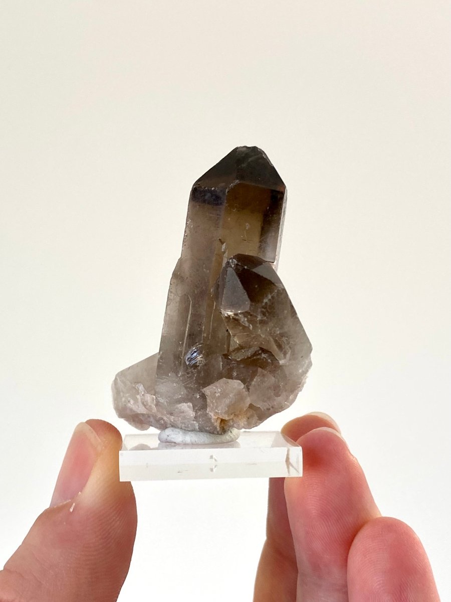 2.22" Smoky Quartz crystal from Brazil - FossilsAndMore