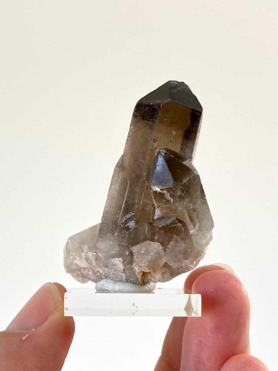 2.22" Smoky Quartz crystal from Brazil - FossilsAndMore