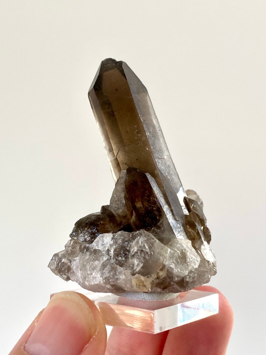 2.34" Smoky Quartz crystal from Brazil - FossilsAndMore