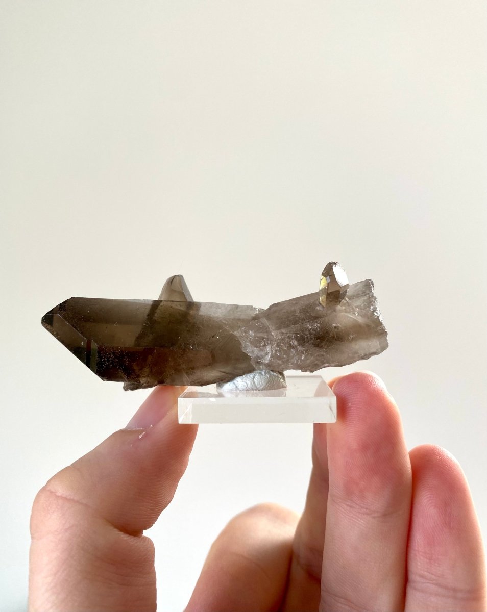 2.75" Smoky Quartz crystal from Brazil - FossilsAndMore