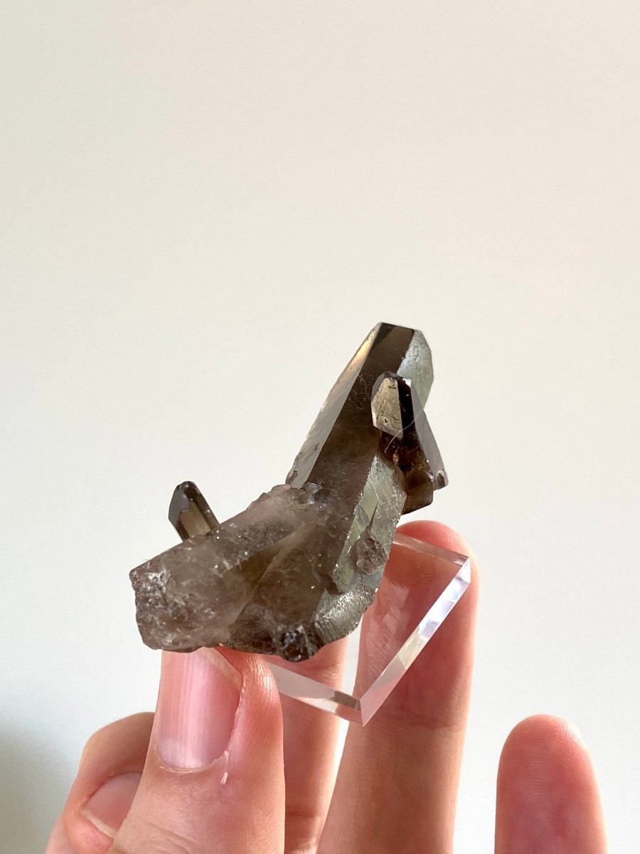 2.75" Smoky Quartz crystal from Brazil - FossilsAndMore