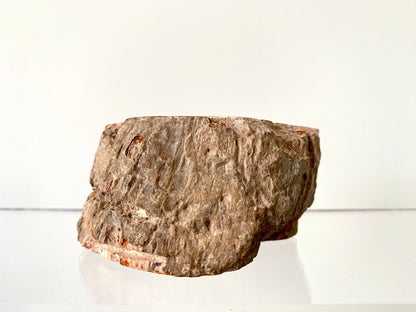 2.98" Petrified wood from Madagascar - FossilsAndMore