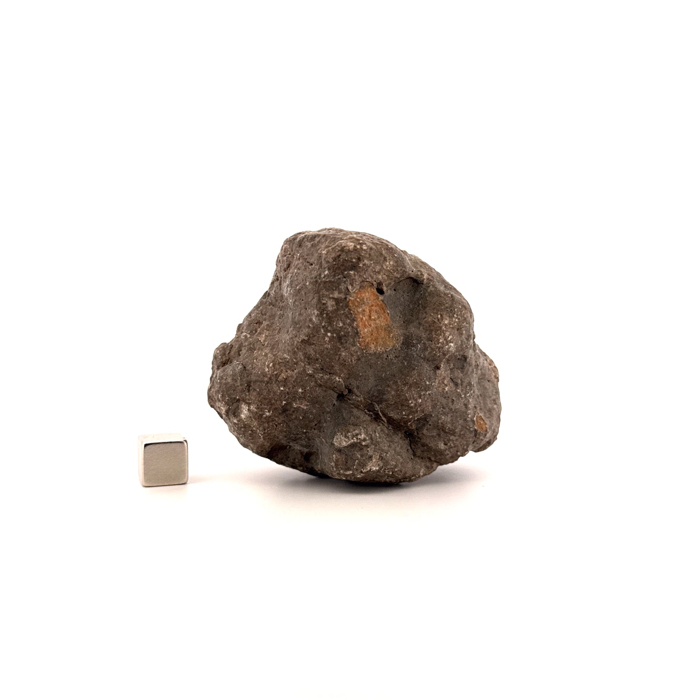 Asteroide Vesta Fragment (255 Gram) – Jikharra 001 (Eucrite Melt Breccia)