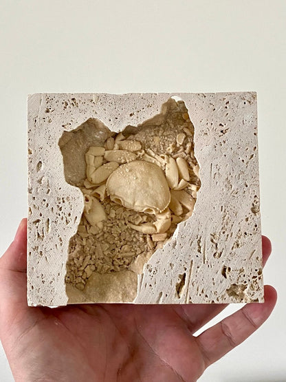 3.14" Potamon crab fossil species in travertine - FossilsAndMore