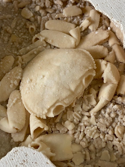 3.14" Potamon crab fossil species in travertine - FossilsAndMore