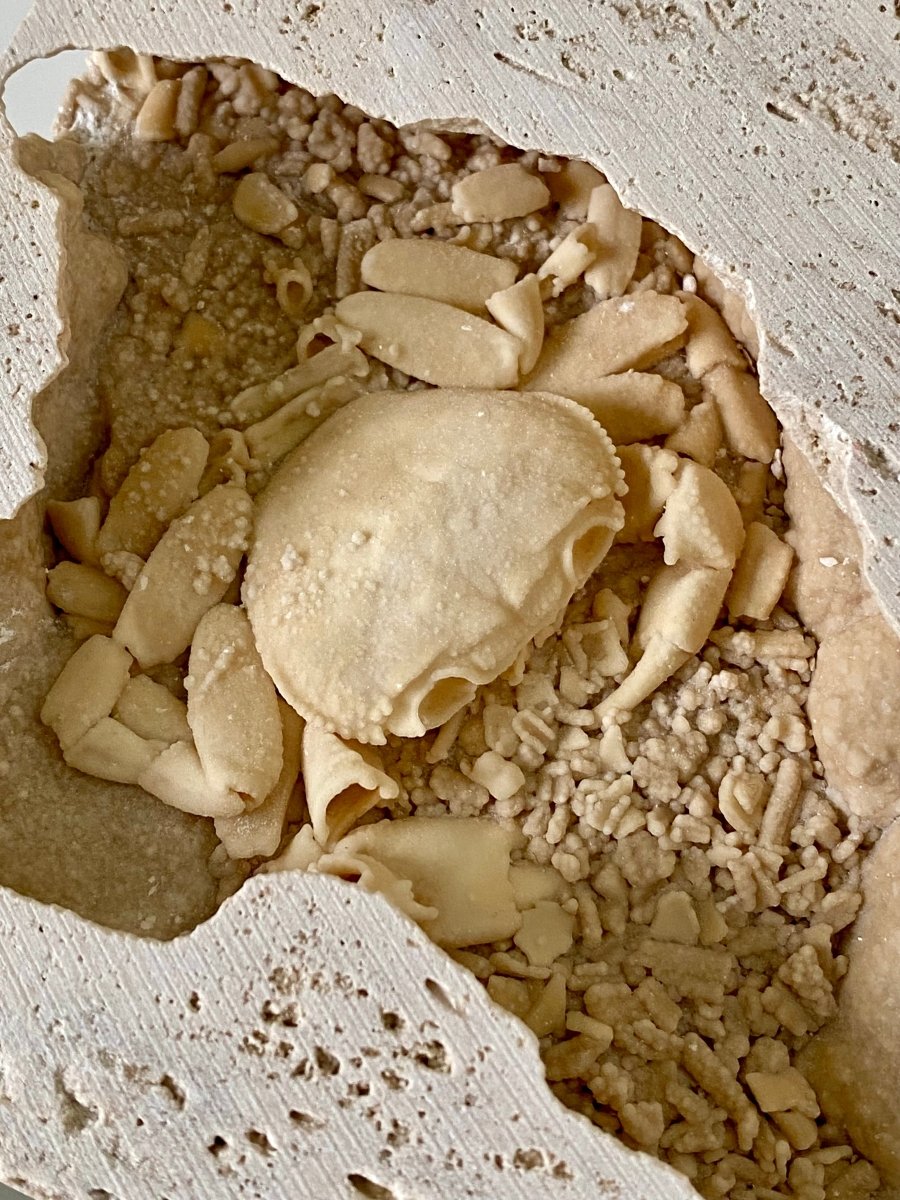 3.14" Potamon crab fossil species in travertine - FossilsAndMore