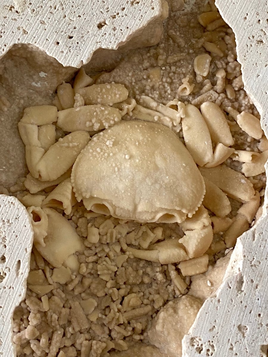 3.14" Potamon crab fossil species in travertine - FossilsAndMore