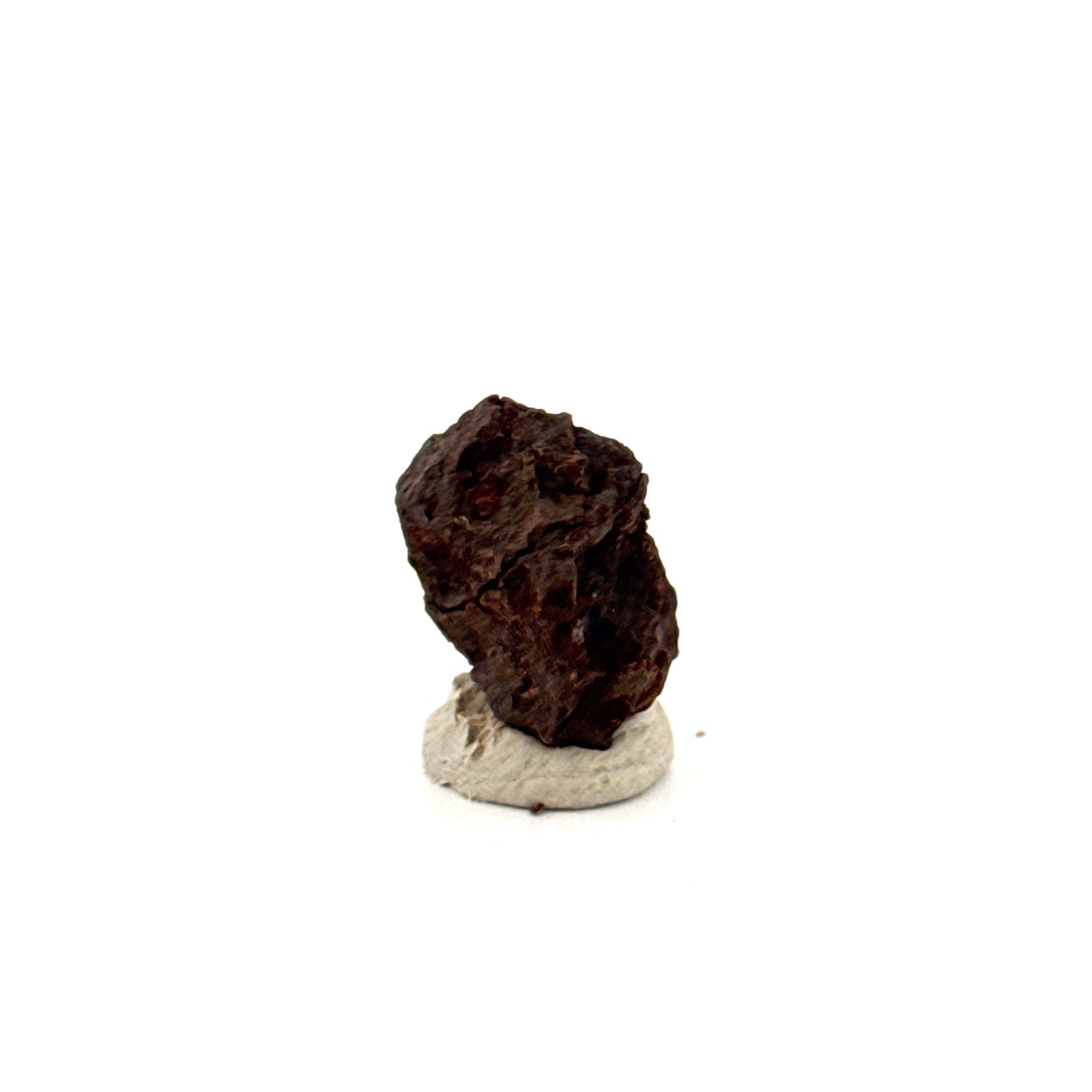 Authentic raw Sericho Pallasite Meteorite Fragment from Kenya (0.69")
