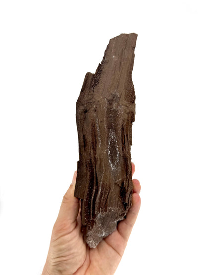 Large Permineralized Wood Covered In Druzy Quartz from Germany (759 Grams)