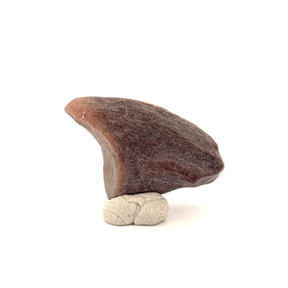 Partial Theropod Dinosaur Claw from Niger (1.26")