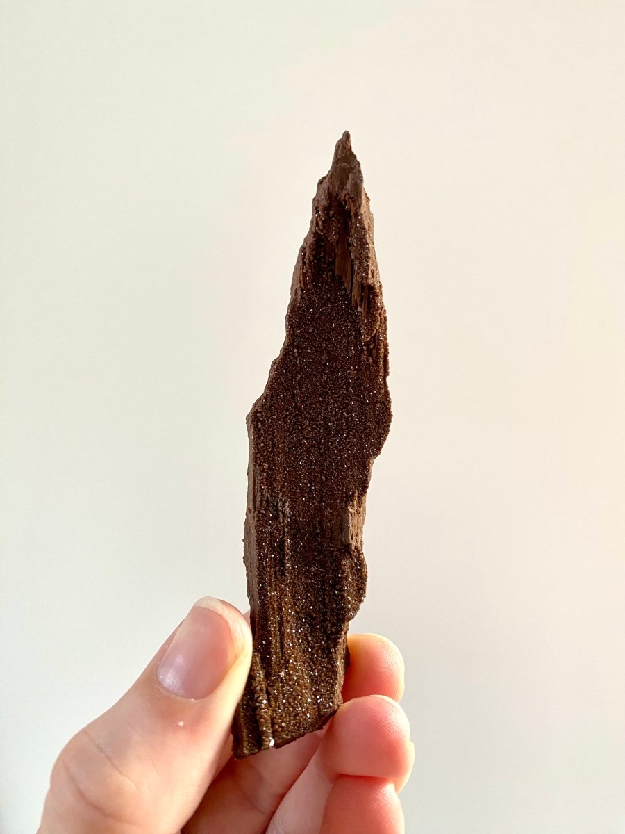 4.25" Permineralized Wood Covered In Sparkling Druzy Quartz - FossilsAndMore