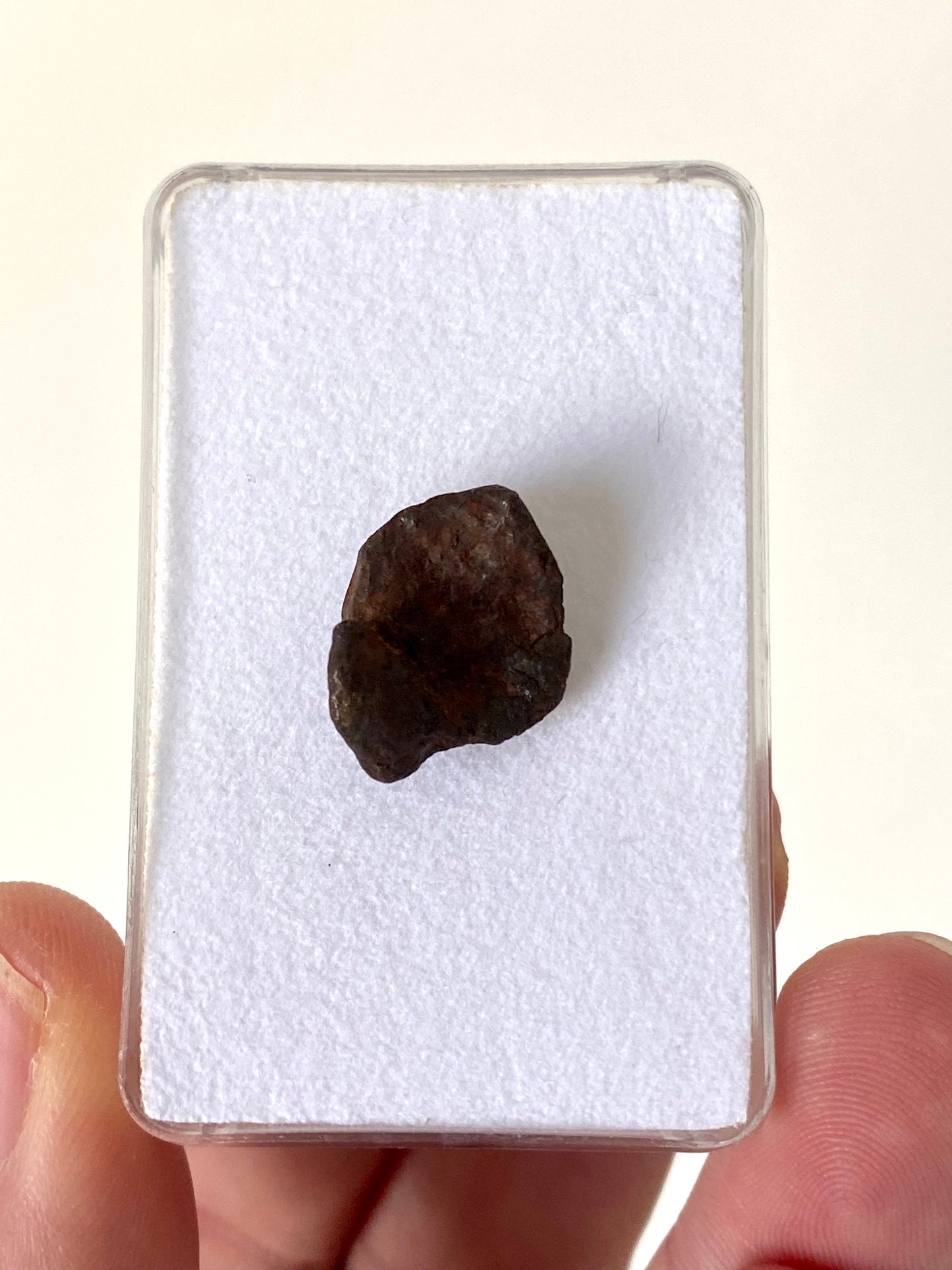 Agoudal Meteorite fragment