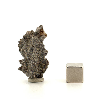 Fulgurite a Natural Glass Formed by Lightning | 1.19"
