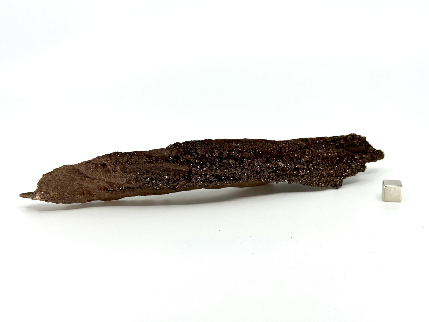 Permineralized Wood Covered In Druzy Quartz from Germany (210 Grams)