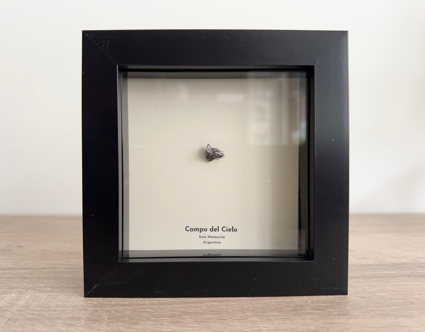 Campo del Cielo Meteorite Fragment in 3D picture frame
