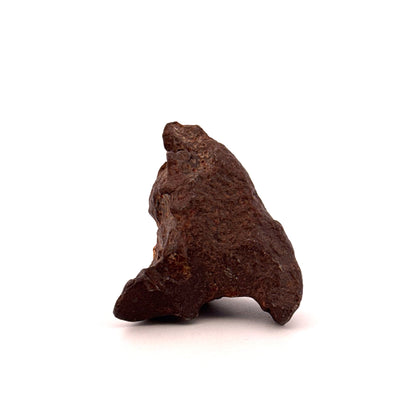 IJzermeteoriet fragment Gebel Kamil uit Egypte (66 gram)
