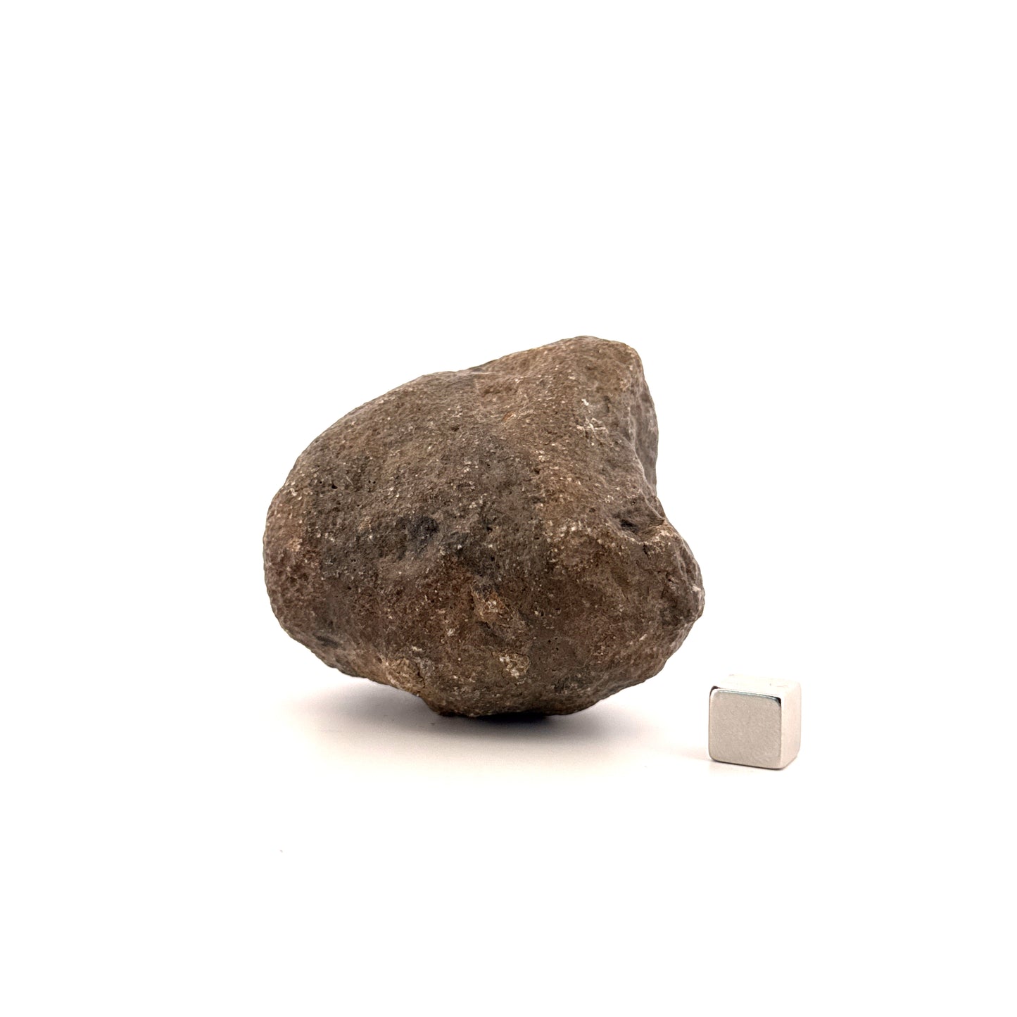 Asteroide Vesta Fragment (255 Gram) – Jikharra 001 (Eucrite Melt Breccia)