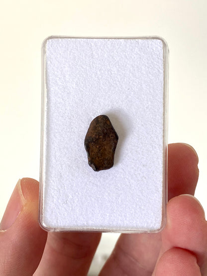 Agoudal Meteorite fragment