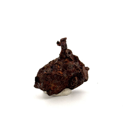 Authentic raw Sericho Pallasite Meteorite Fragment from Kenya (0.99")