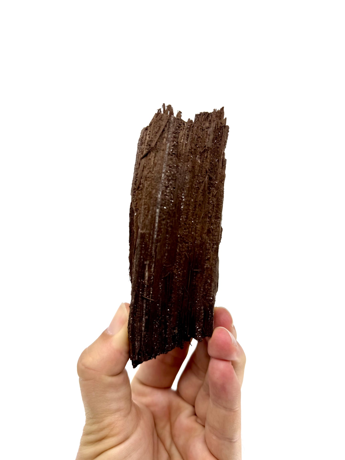 Permineralized Wood Covered In Druzy Quartz from Germany (246 Grams)