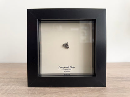 Campo del Cielo Meteorite Fragment in 3D picture frame