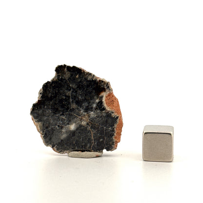 Lunar Meteorite Polished endcut | 6 Grams | Authentic Bechar 007 Moon Rock (Copy)
