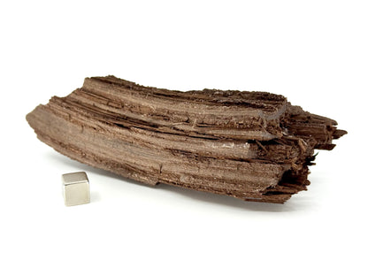Permineralized Wood Covered In Druzy Quartz from Germany (246 Grams)