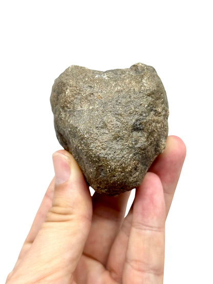 Asteroide Vesta Fragment (255 Gram) – Jikharra 001 (Eucrite Melt Breccia)