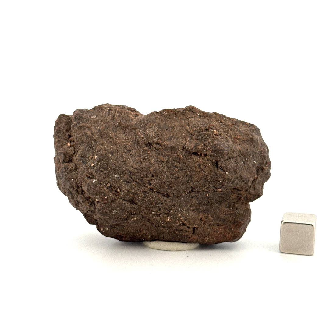 Al Haggouina 001 meteoriet fragment uit de Westelijke Sahara | 121 Gram