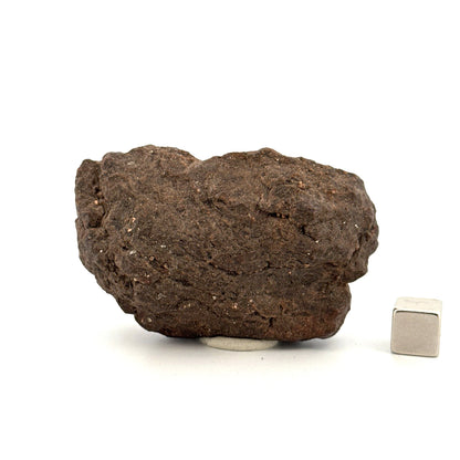 Al Haggouina 001 meteoriet fragment uit de Westelijke Sahara | 121 Gram