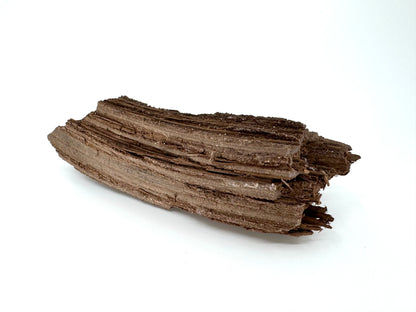 Permineralized Wood Covered In Druzy Quartz from Germany (246 Grams)