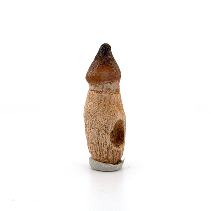 Globidens phosphaticus tooth with natural root from Cretaceous, Morocco (1.87")