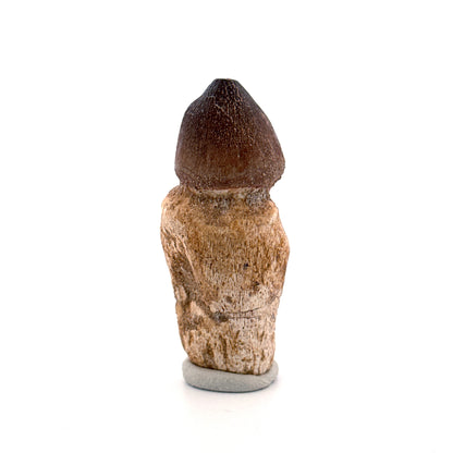 Globidens phosphaticus tooth with natural root from Cretaceous, Morocco (2.39")